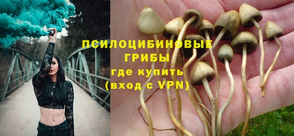 PSILOCYBIN Бронницы